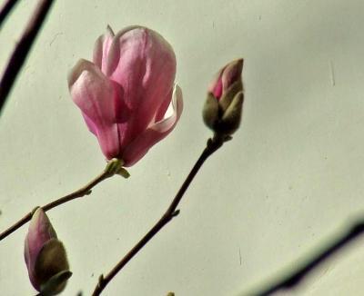 Прикрепленное изображение: 301.jpg